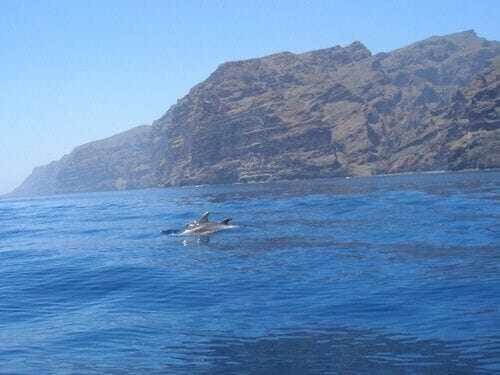 El Paraiso En Los Gigantes Santiago del Teide Екстериор снимка