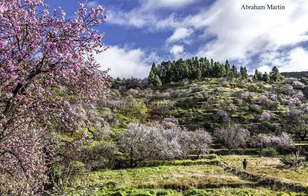 El Paraiso En Los Gigantes Santiago del Teide Екстериор снимка