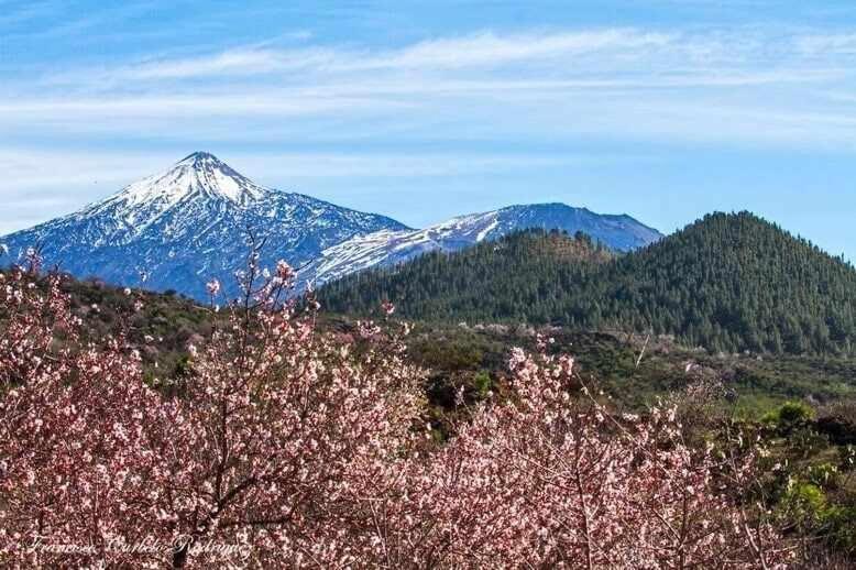 El Paraiso En Los Gigantes Santiago del Teide Екстериор снимка